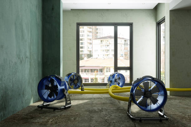 Best Mold removal after water damage  in Anacortes, WA